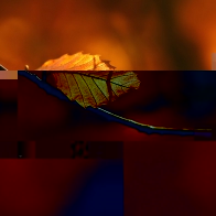 4e4bd8bf4d8ee6601e1340b0f24deea4.jpg